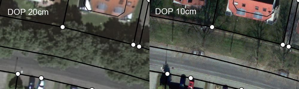 Luftbilder Baeume500